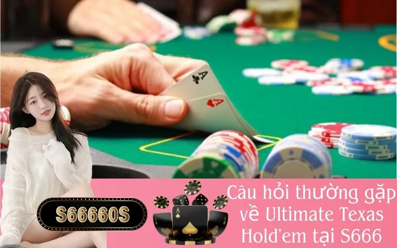 Câu hỏi thường gặp về Ultimate Texas Hold'em tại S666