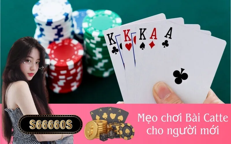 Mẹo chơi Bài Catte cho người mới