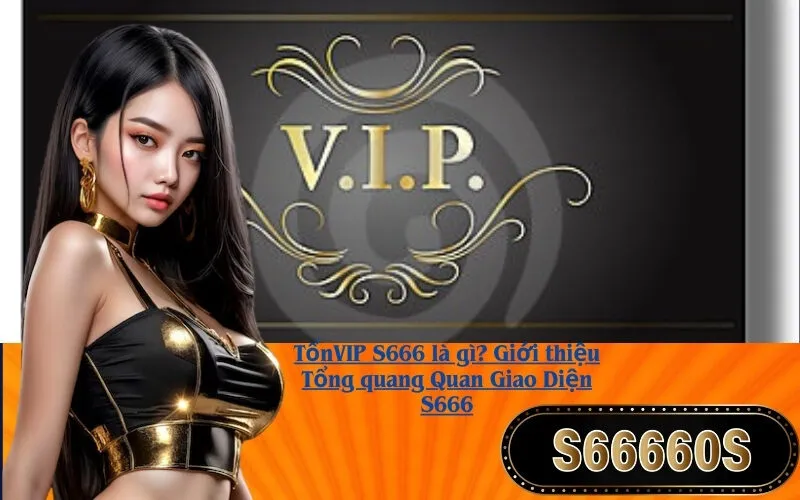 VIP S666 là gì? Giới thiệu Tổng quan